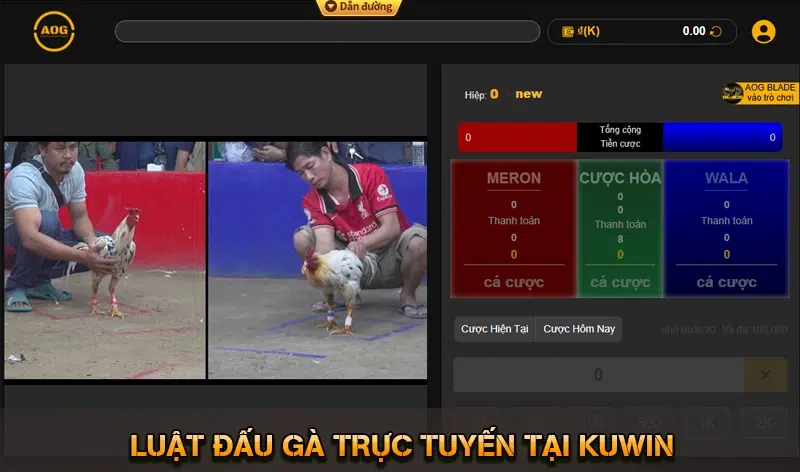 Luật Đấu Gà Trực Tuyến Tại KUWIN